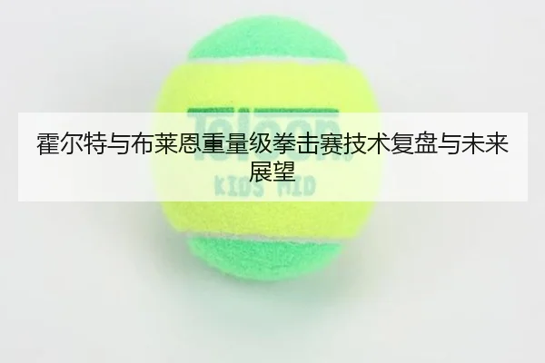 huo-er-te-yu-bu-lai-en-zhong-liang-ji-quan-ji-sai-ji-shu-fu-pan-yu-wei-lai-zhan-wang-2-781.jpg